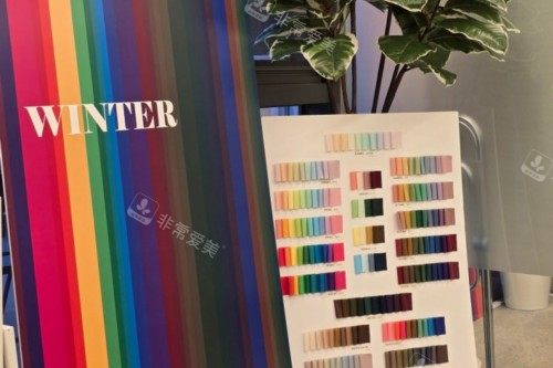 韩国Cocory江南分店色彩图