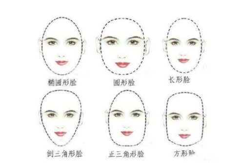 各种脸型卡通展示图