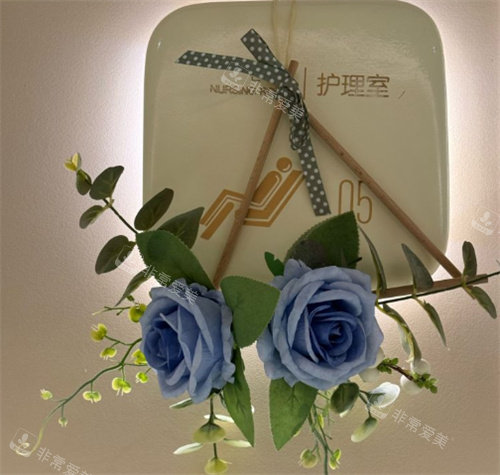 深圳恒研医疗美容护理室手办