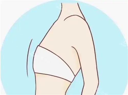 平胸动画展示图