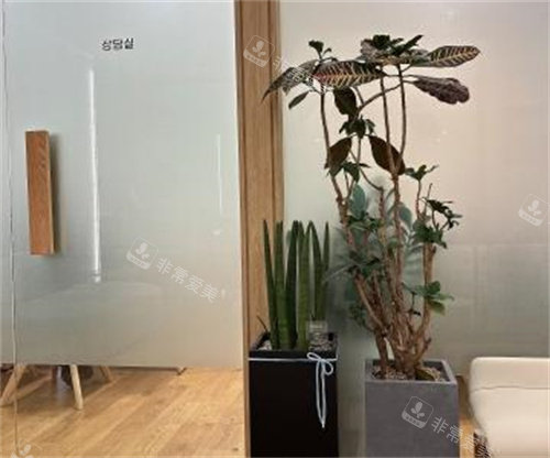 韩国MULY整形室内一角 韩国MULY整形室内一角