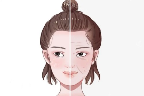 面部皮肤改善图