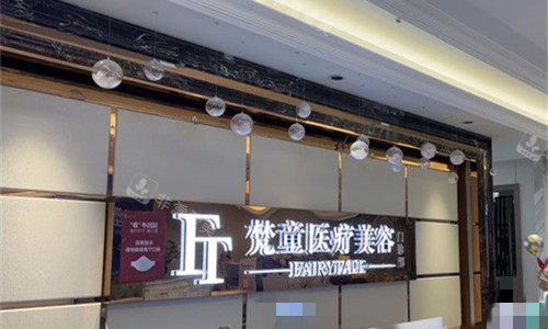 长沙梵童医疗美容前台logo图