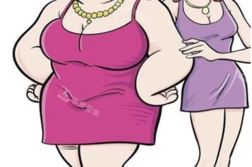 脂肪多脂肪少卡通对比展示图 脂肪多脂肪少卡通对比展示图