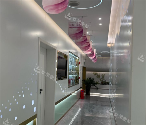 东莞紫芯整形过道环境