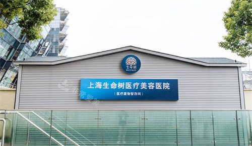 上海生命树医疗美容医院一角