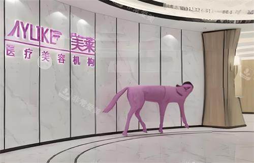 武汉美莱整形室内图