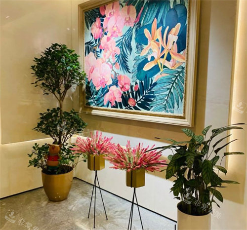 北京优翔瑞伊医疗美容环境一角