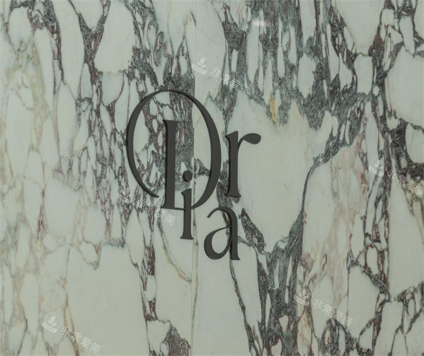 韩国DIAR皮肤科的logo展示图