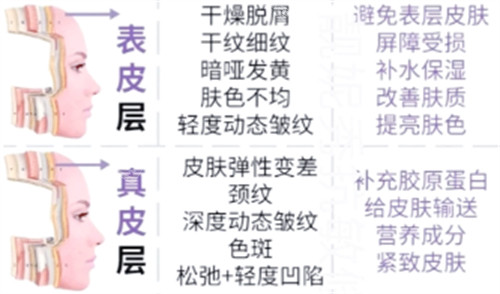 不同皮膚層次抗衰重點