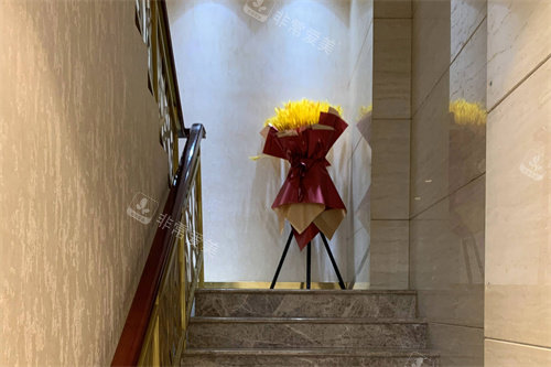 北京麦西美嘉医疗美容楼梯间