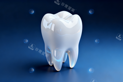 洁白牙齿模型图