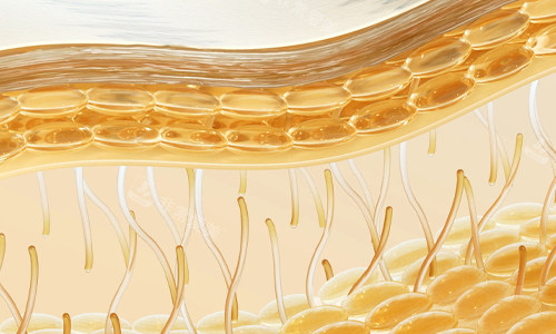 韩国做inmode收费价格表一览!揭秘韩国爆火的inmode价目表收费标准! 