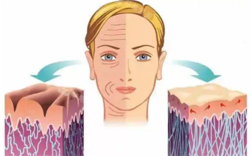 河南郑州郭玉瑞抗衰面...