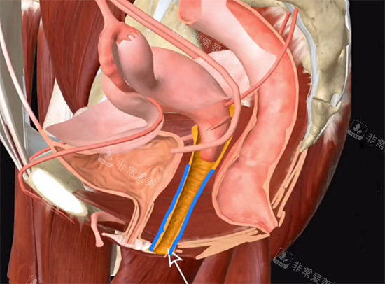 票選北京私密整形醫(yī)院排名前三名:嘉禾整形|畫美整形|美萊整形是北京私密整形正規(guī)醫(yī)院排行榜前三！
