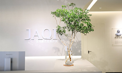 深圳鹏爱嘉琪整形logo