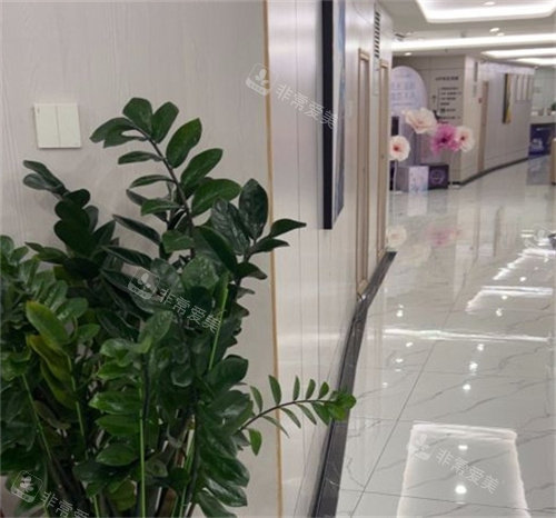 珠海九龙整形环境展示