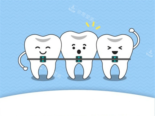 牙齿矫正动画示意图
