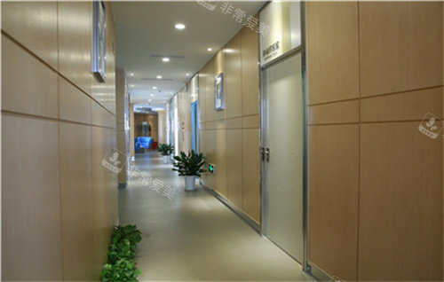 南京美奥口腔门诊部走廊