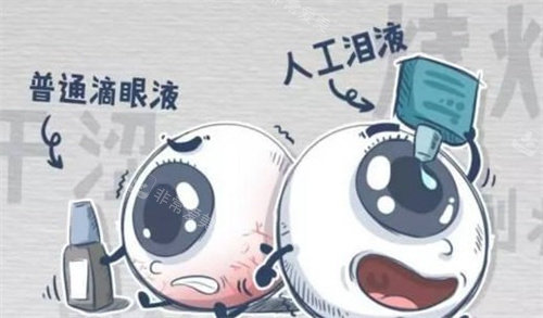干眼症人工泪液