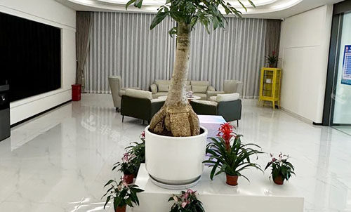 杭州清沐医疗美容大厅休息区 杭州清沐医疗美容大厅休息区