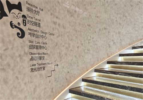 成都素美医疗美容楼梯