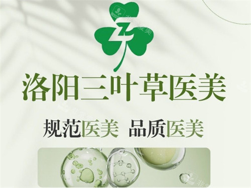 洛阳三叶草医疗美容怎么样