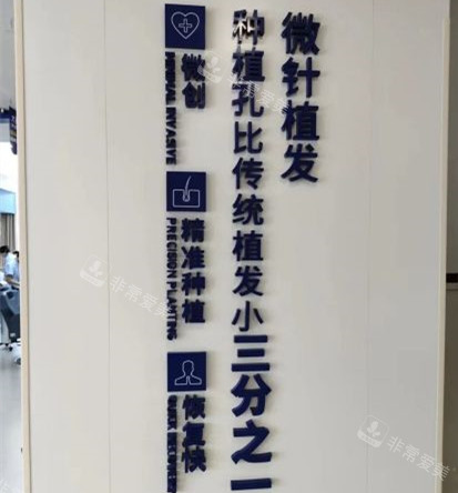 深圳大麦微针植发技术特点