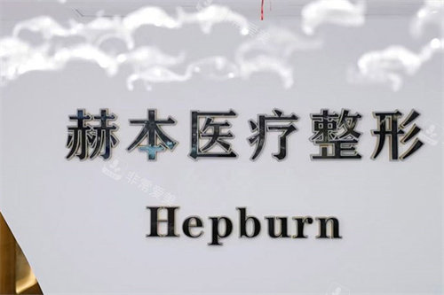 扬州赫本医疗美容logo墙
