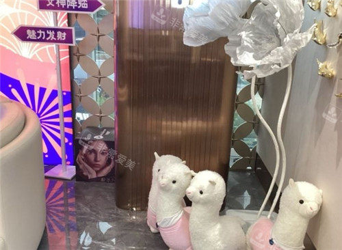 大连高岚医疗美容一角照片 大连高岚医疗美容一角照片