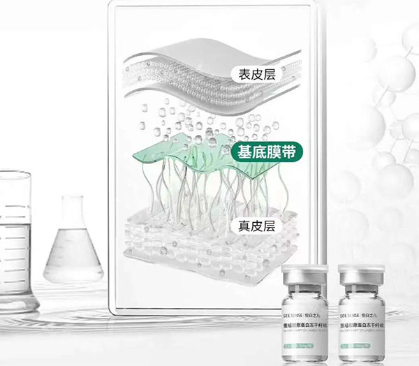 悦白之几胶原蛋白层级示意图