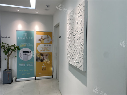 韩国朵戈芙蒂弘大店环境一角