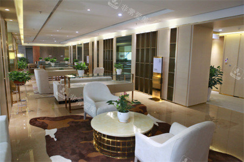 成都华美紫馨休息区一角一览图