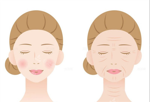 这趟首尔之行，我终于把心心念念的“提拉界天花板”给安排上了！