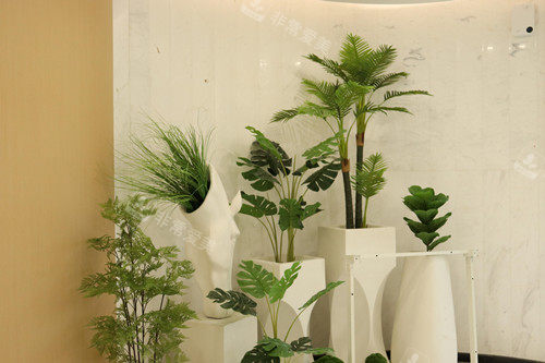 成都军大整形内部一角 成都军大整形内部一角