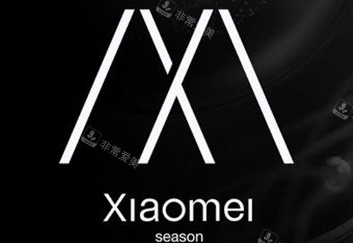 北京小美微针医疗美容LOGO示意图