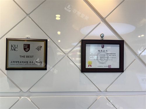 韩国珠儿丽整形外科获奖展示 韩国珠儿丽整形外科获奖展示
