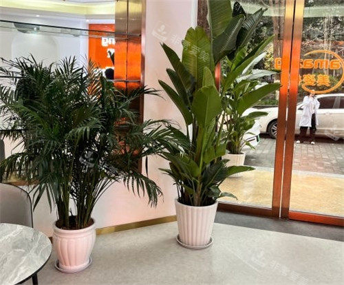 重庆美姿植发大厅图片