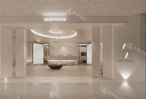 韩国仁川士罗匹皮肤科门头 韩国仁川士罗匹皮肤科门头