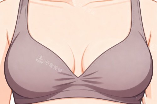 挺拔胸部好看胸型卡通图