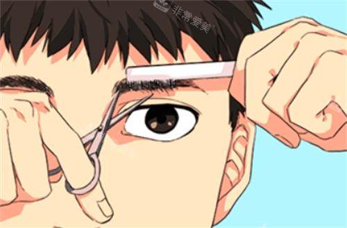 男士眉毛展示图