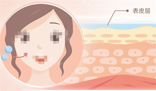 韩国丽珍整形外科怎么预约？电话/微信/官网/现场，4种方式任你选