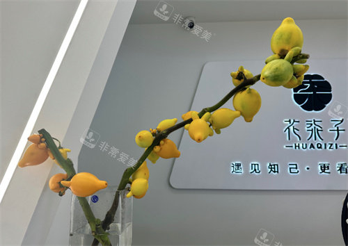 无锡花柒子医疗美容