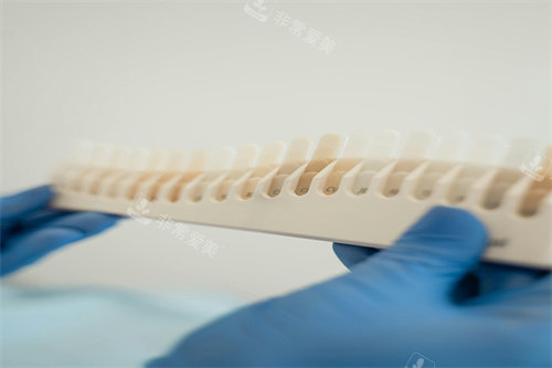 牙齿色号展示板