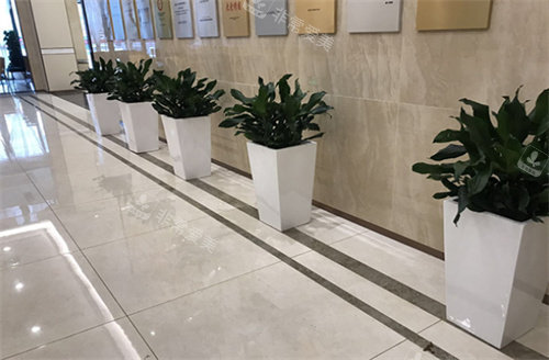 烟台壹美天成整形环境