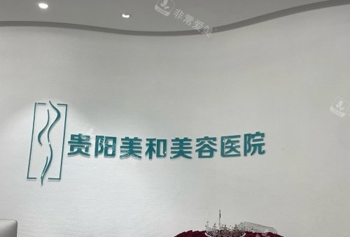 贵阳美和整形logo示意图