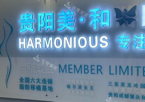 贵阳美和整形水晶字体示意图