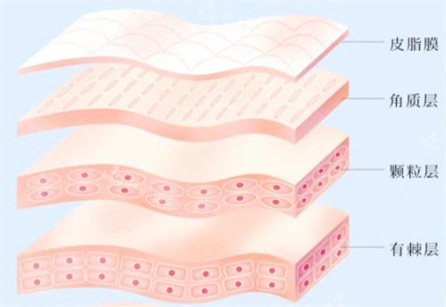 香港伊莲整形美容医院...