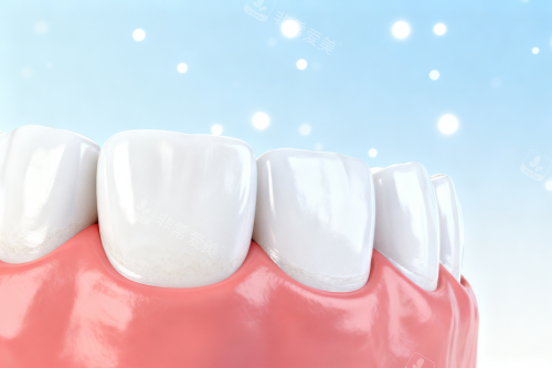 牙齿模型图展示