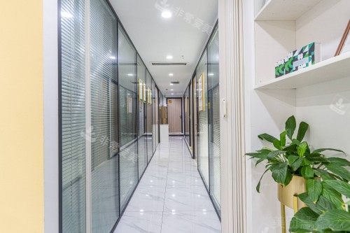 重庆美即适口腔走廊